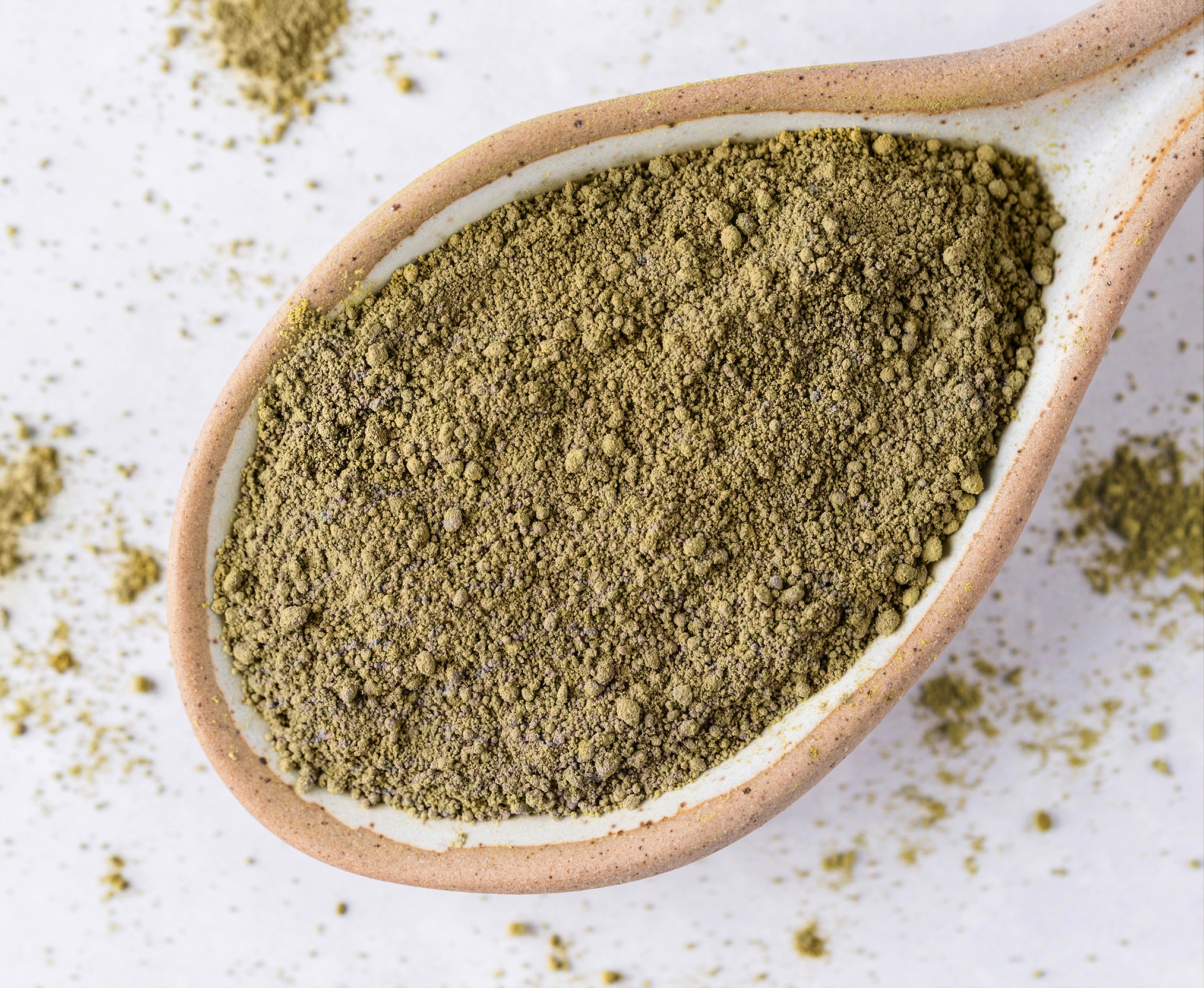 00-50812_stamm_cover