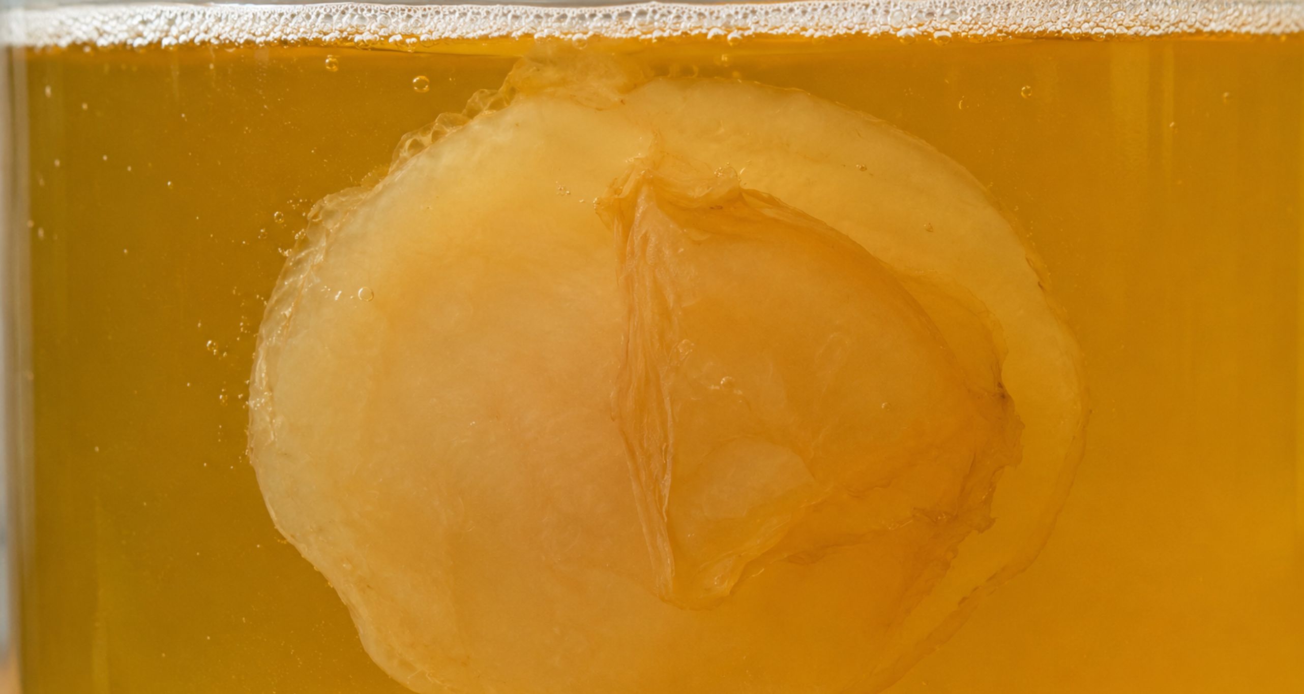Scoby Nahaufnahme