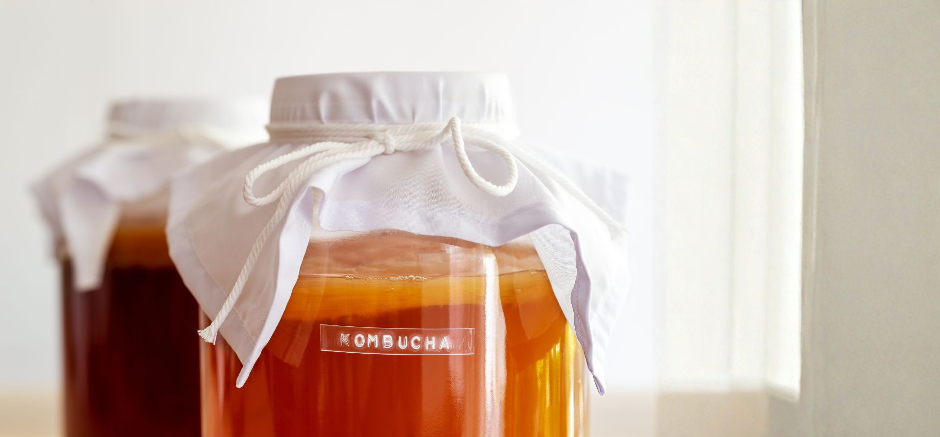 Kombucha Startseite