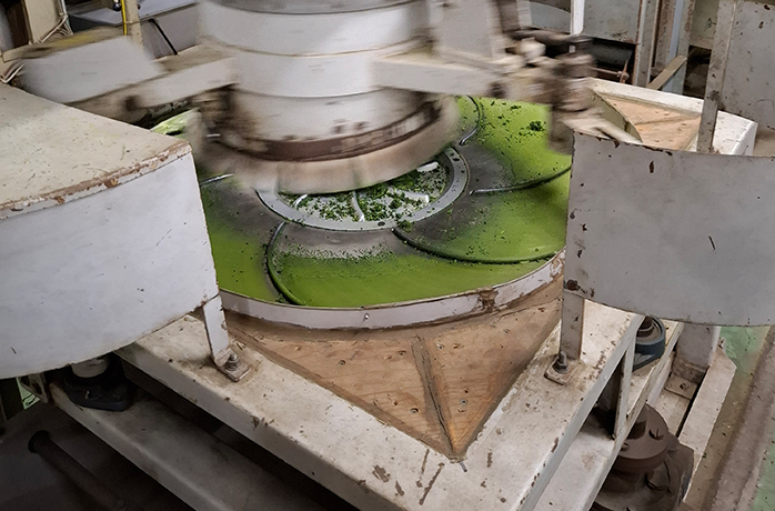Matcha wird in einer rotierenden Steinmühle zu feinem Pulver vermahlen Matcha wird in einer rotierenden Steinmühle zu feinem Pulver vermahlen