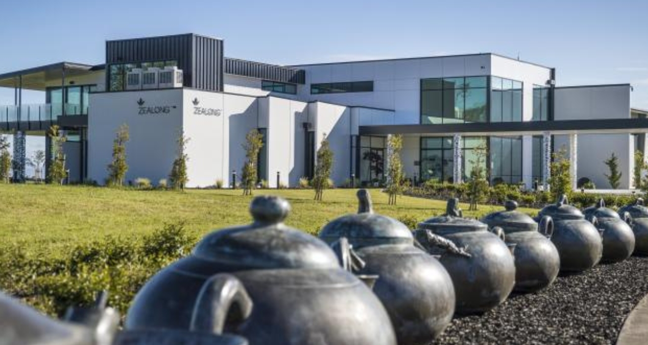 New Zealand Tees (3)