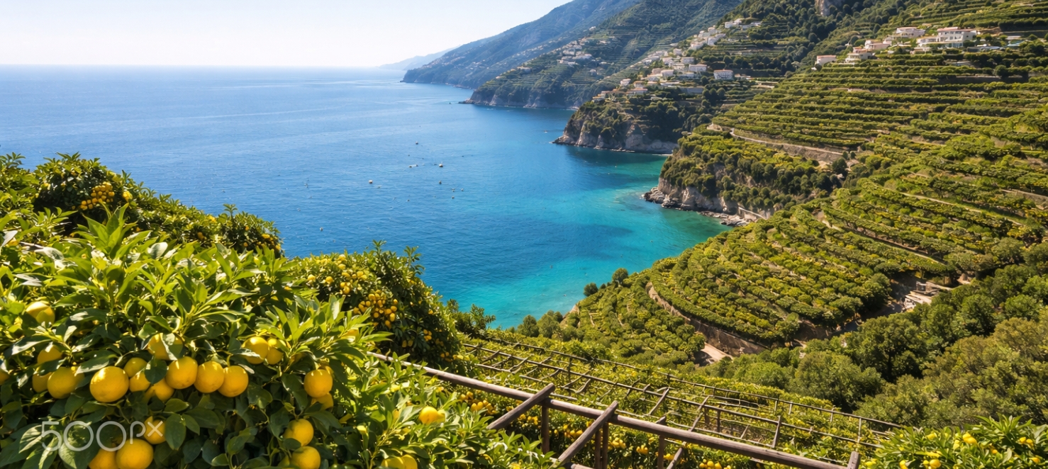 Blick auf die Amalfiküste im Vordergrund Zitronenbäume