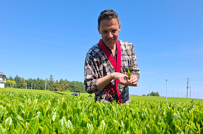 Erste Pflückung mit Martin in Japan Martin pflückt frische Teeblätter bei der ersten Ernte des Jahres im Kimonoauf einer japanischen Teeplantage