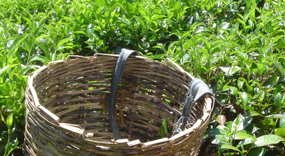 Teegarten mit Korb
