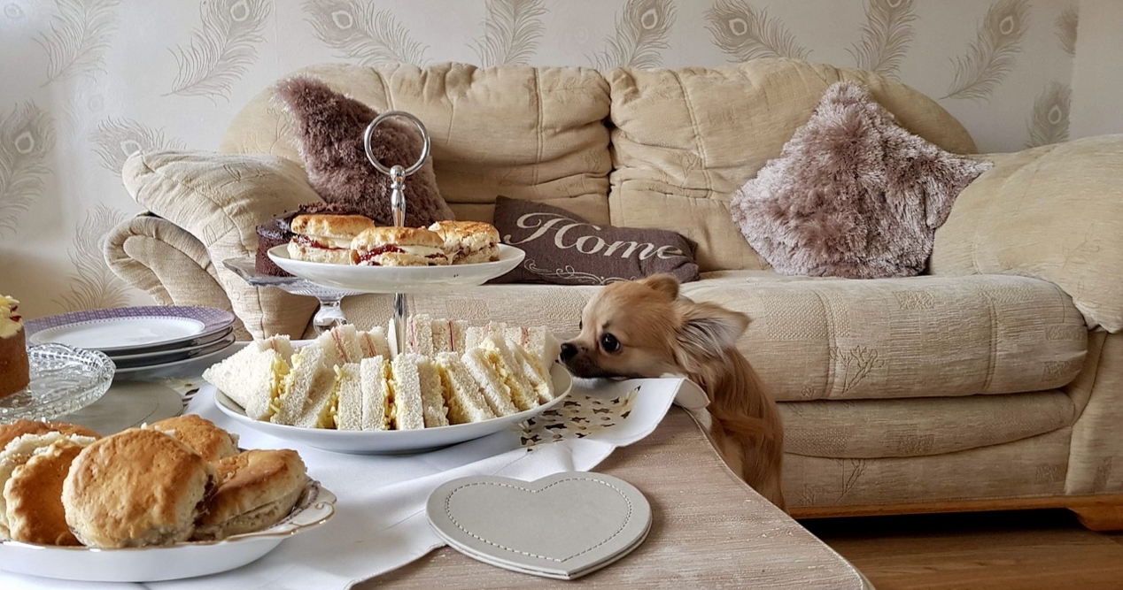 Afternoon Tea