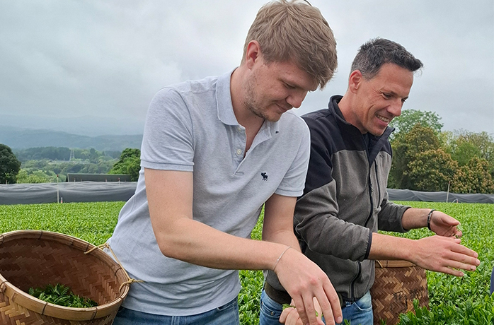 Tobi und Martin pflücken frische Teeblätter bei der ersten Ernte des Jahres auf einer japanischen Teeplantage Tobi und Martin pflücken frische Teeblätter bei der ersten Ernte des Jahres auf einer japanischen Teeplantage