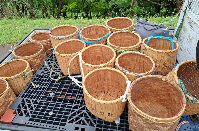 Leere, traditionelle Teepflückkörbe aus Bambus auf einem Fahrzeug – bereit für die Ernte auf der Teeplantage Leere, traditionelle Teepflückkörbe aus Bambus auf einem Fahrzeug – bereit für die Ernte auf der Teeplantage