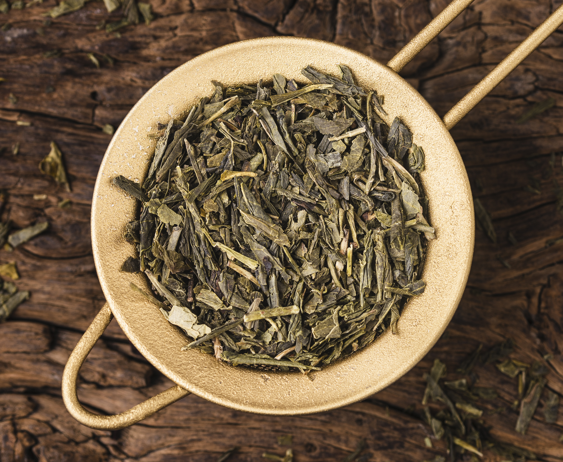 24-09477_stamm_cover 24-09477_stamm_cover