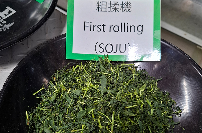 Teeblätter nach Rolling Vorgang_(1) Teeblätter nach Rolling Vorgang_(1)